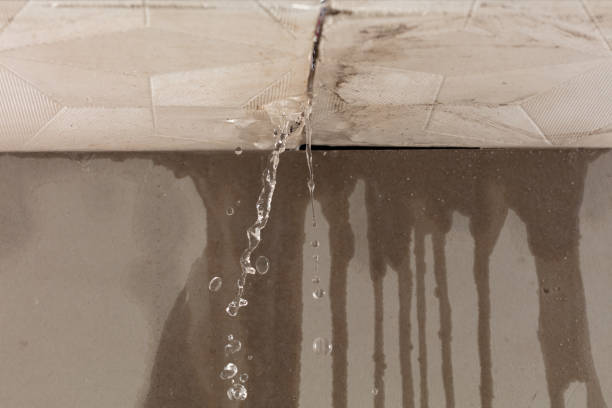 Professional Water Damage Repair technician working in Hurley, NM